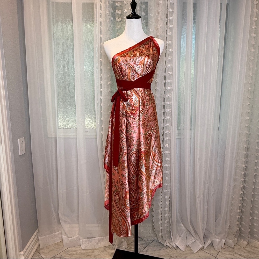 Versatile Sari-Style Paisley Dress in Red and Pink